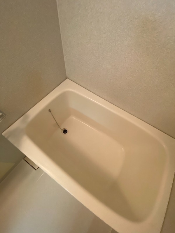 バス