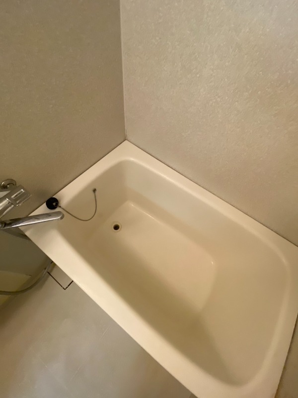 バス