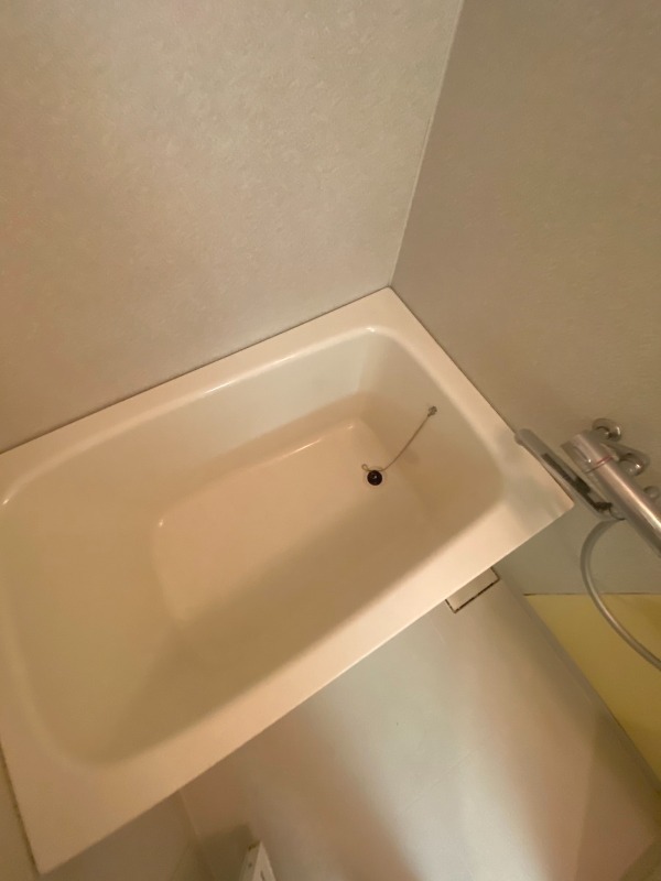バス