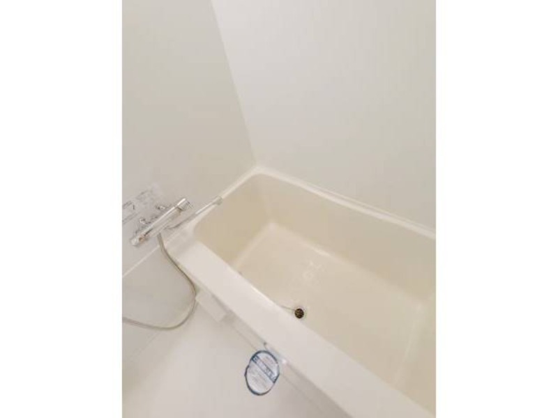 バス