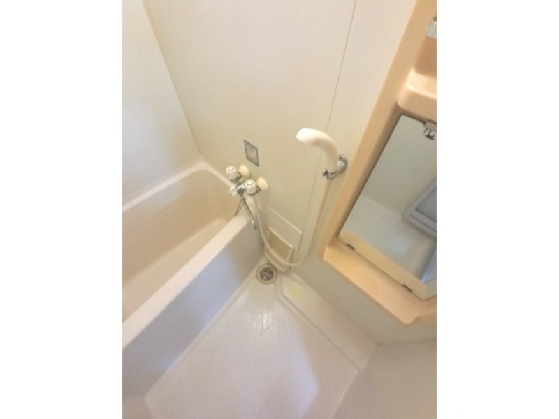 バス