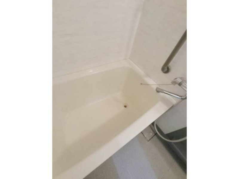 バス