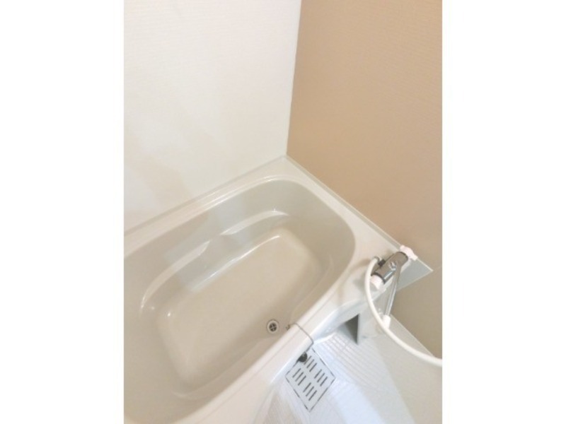 バス
