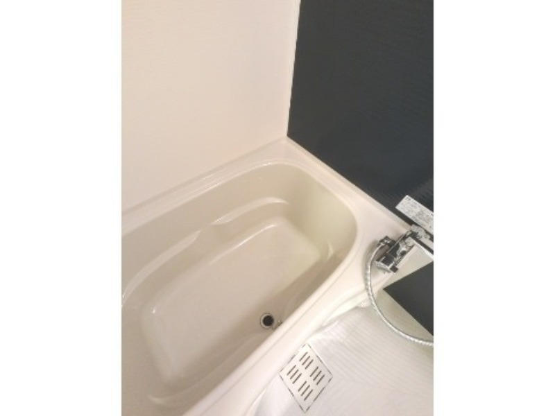 バス