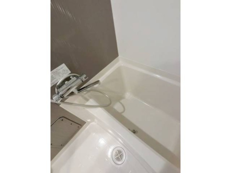 バス