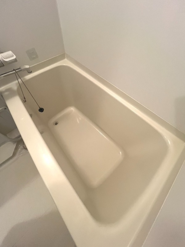 バス