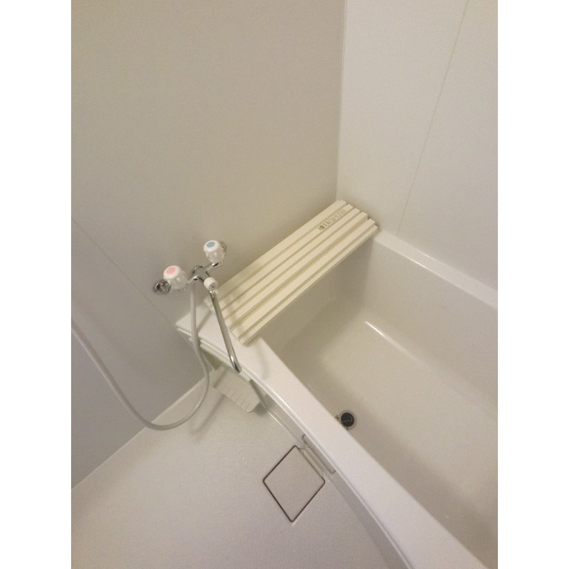 バス