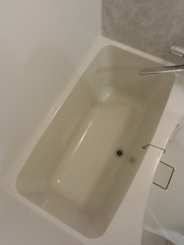 バス