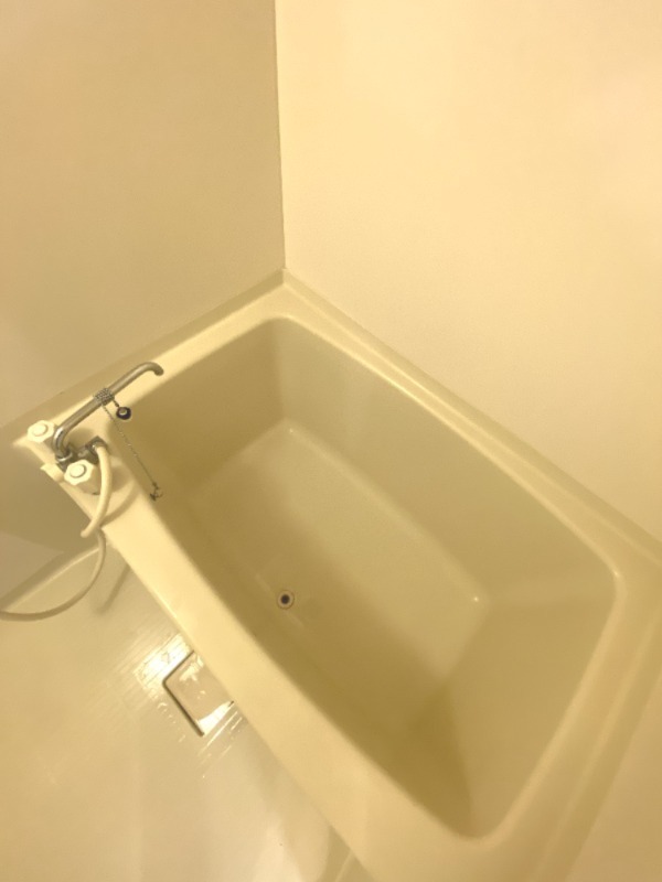 バス