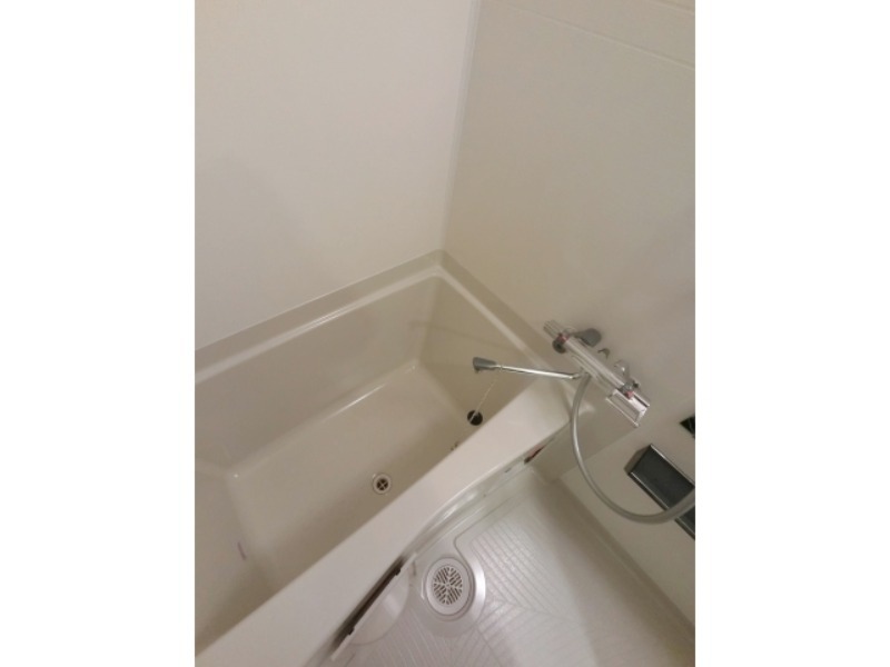 バス