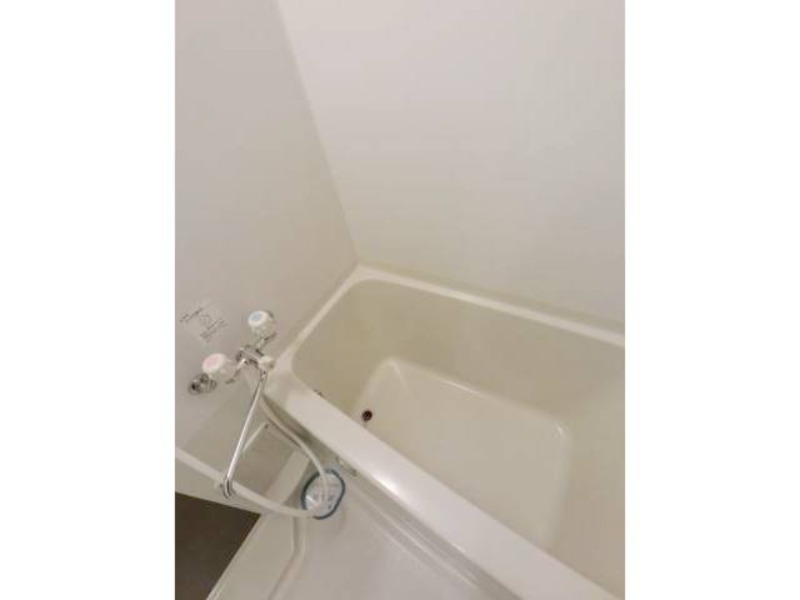 バス