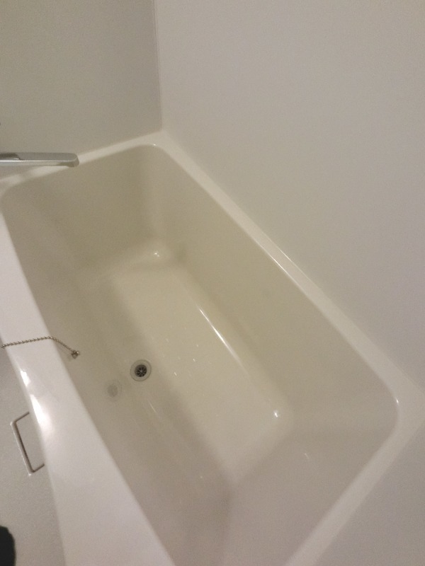 バス