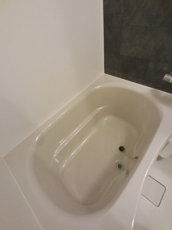 バス