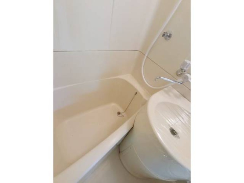 バス