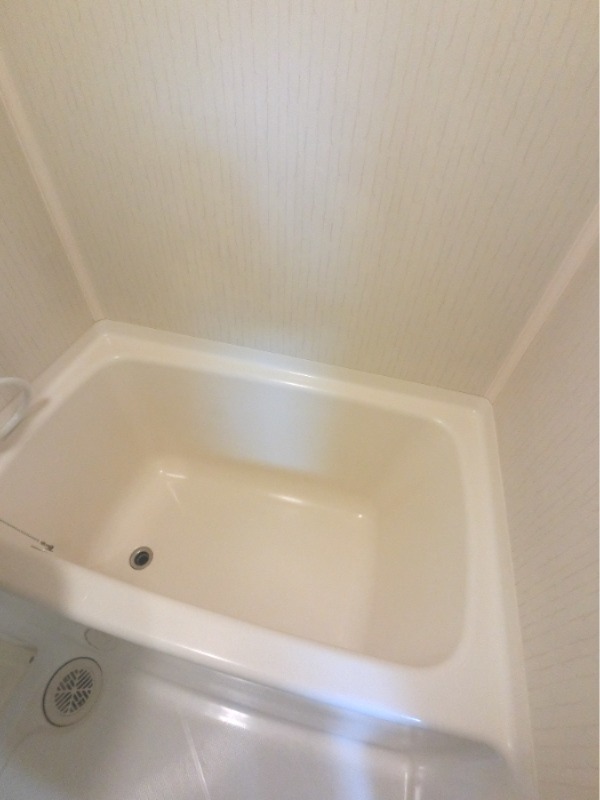 バス