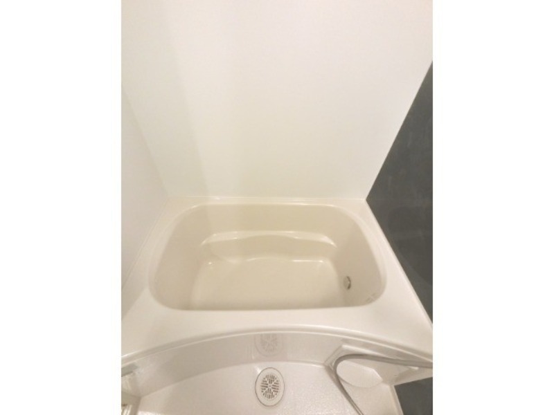 バス