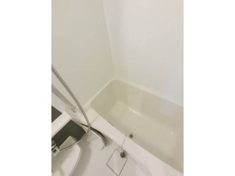 バス