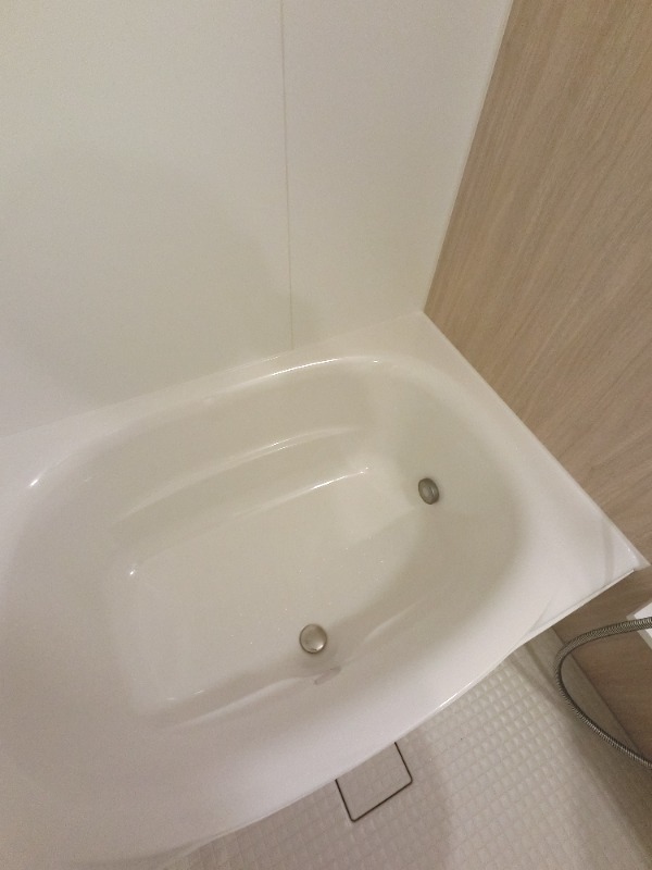 バス